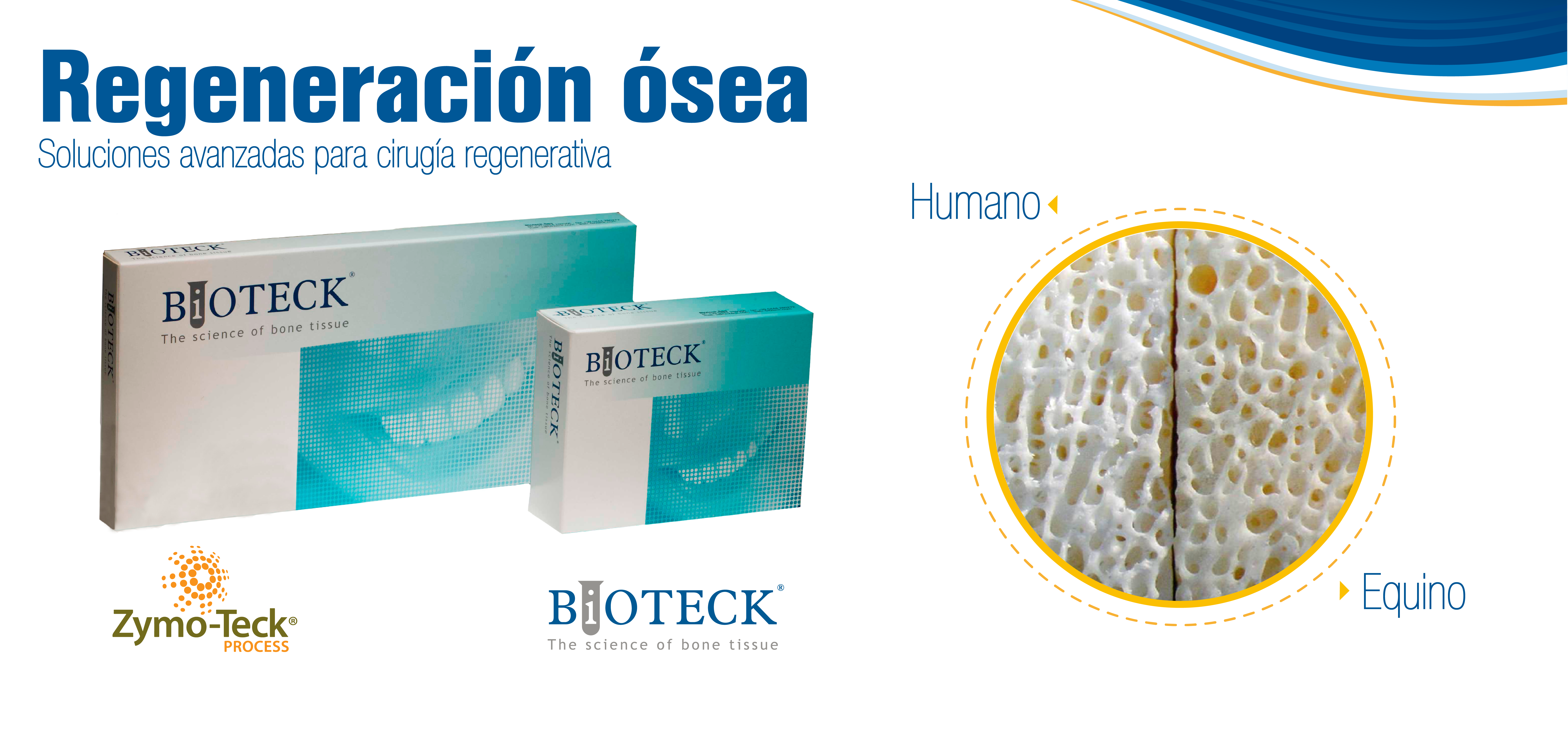 Bioteck regeneración osea